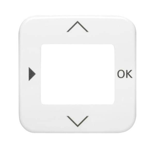 Busch-Jaeger Zentralscheibe alpinws 6435-214