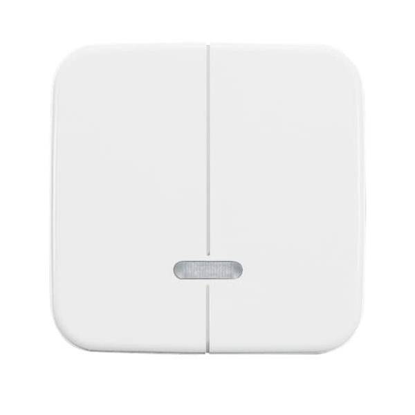 Busch-Jaeger Bedienelement 6545-214