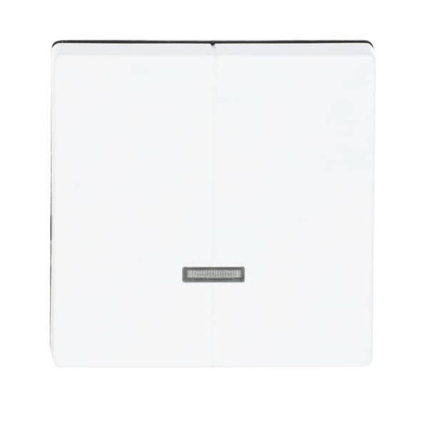 Busch-Jaeger Bedienelement 6545-84