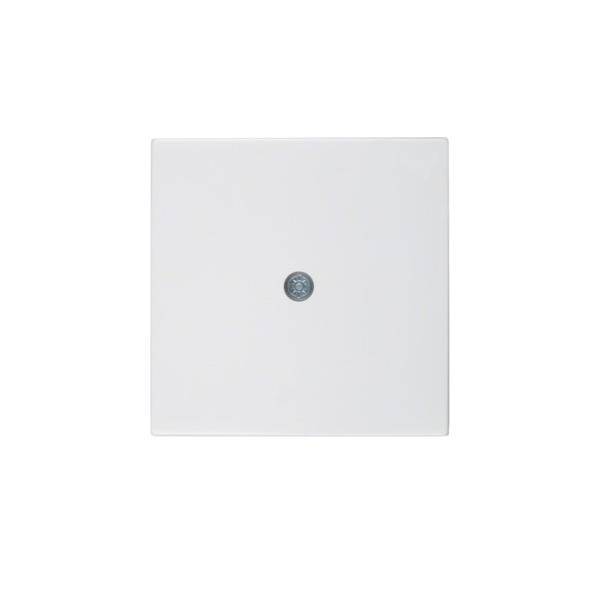 Berker Zentralstück 10198989