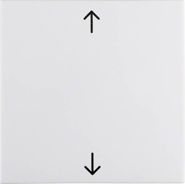 Berker Wippe pws/gl 16208919