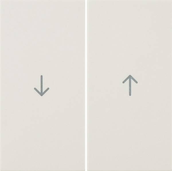 Berker Wippe ws/gl 16258982