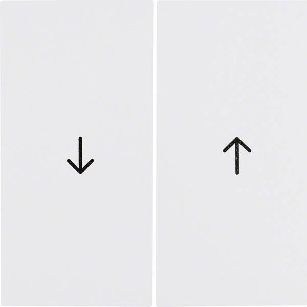 Berker Wippe pws/gl 16258989