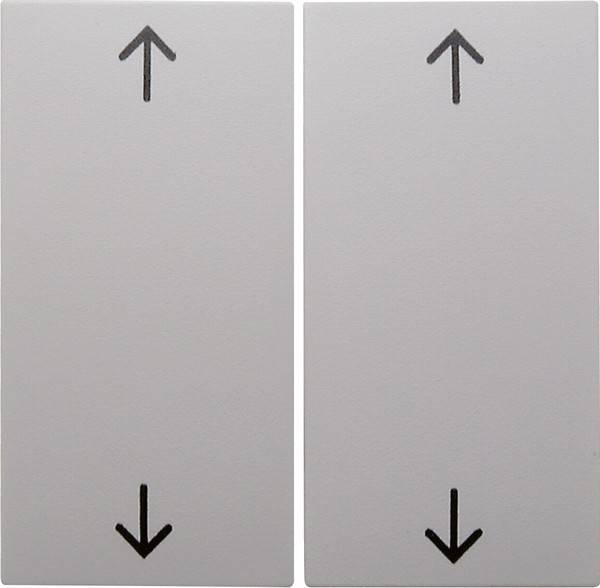 Berker Wippe pws/gl 16448989