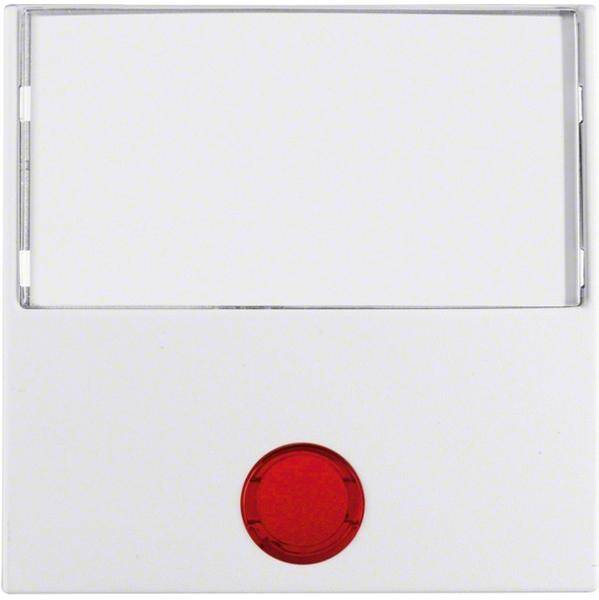 Berker Wippe pws matt 16961909