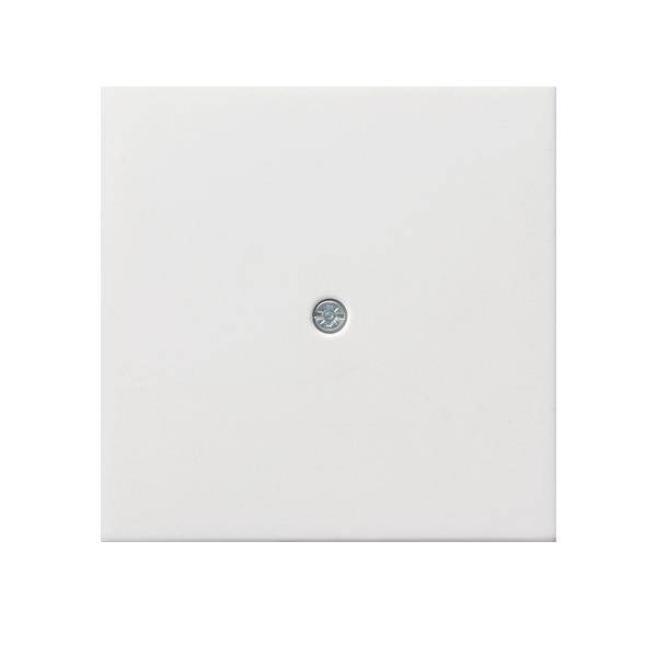 Gira Zentr.pl.Schnurabl. rws/gl 0274112