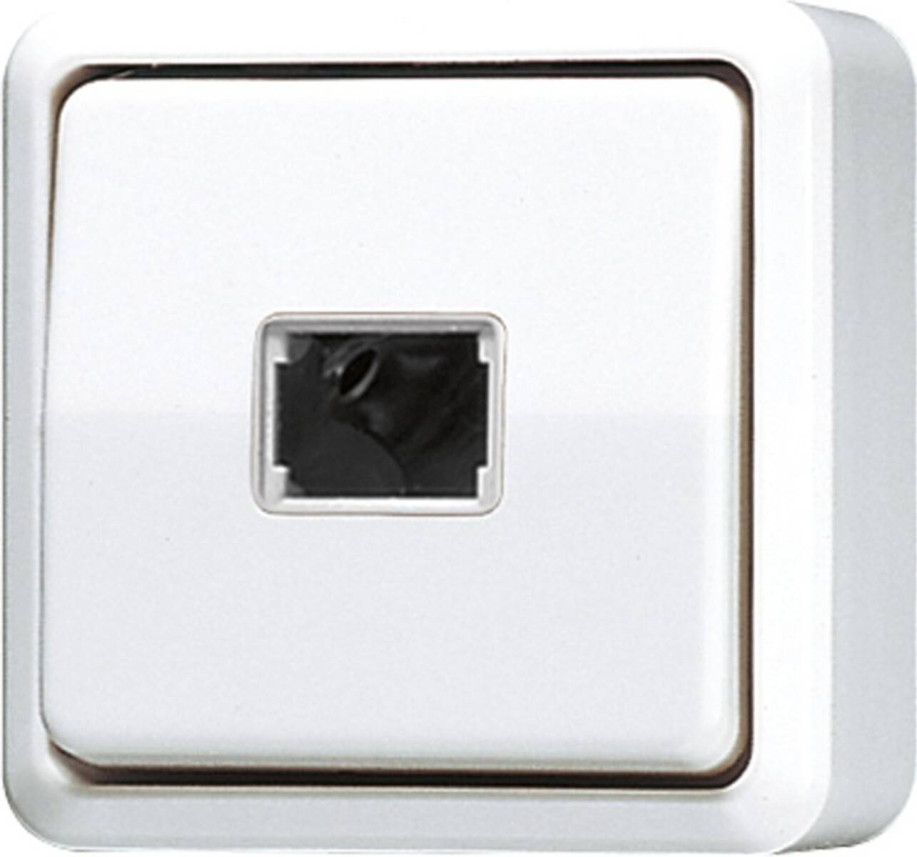 Jung Taster ohne Symbole aws 631 A WW