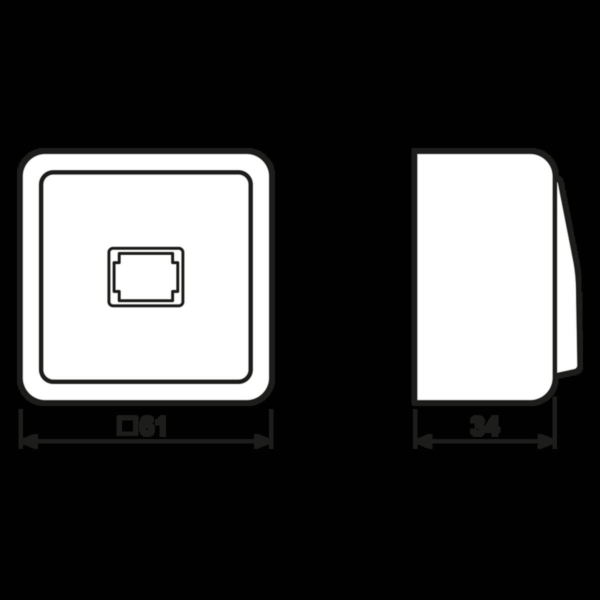 Jung Taster ohne Symbole aws 631 A WW