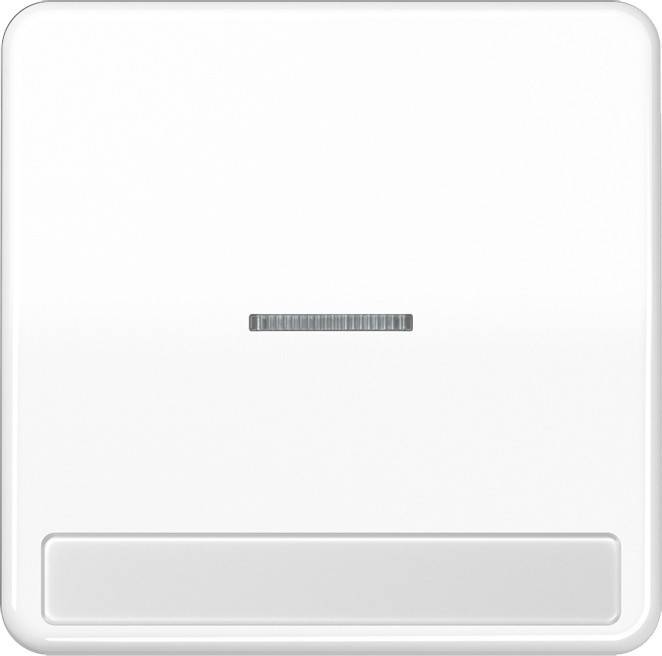 Jung Wippe Licht./Schriftf.aws CD 590 NAKO5 WW