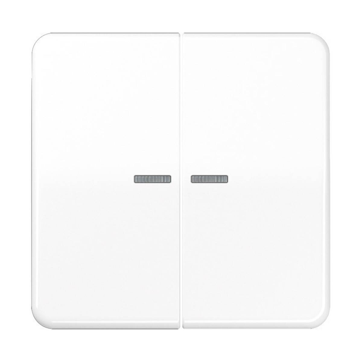 Jung Wippe Lichtleiter aws CD 595 KO5 WW