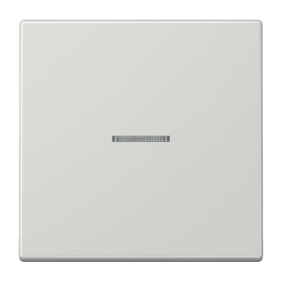Jung Wippe Lichtleiter lgr LS 990 KO5 LG