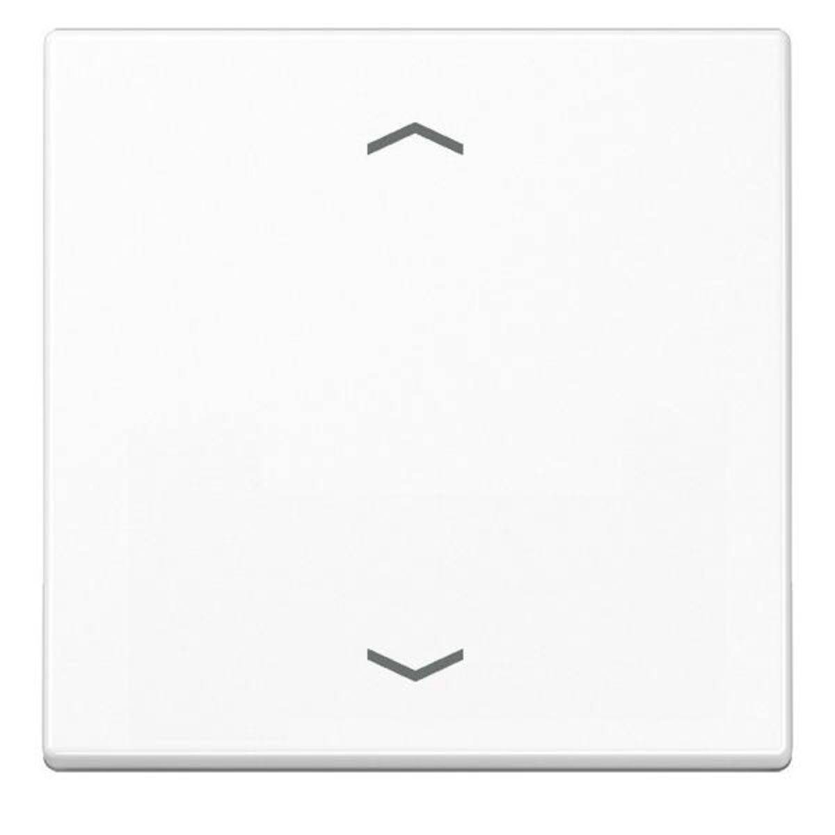 Jung Wippe Symbole aws A 590 P WW