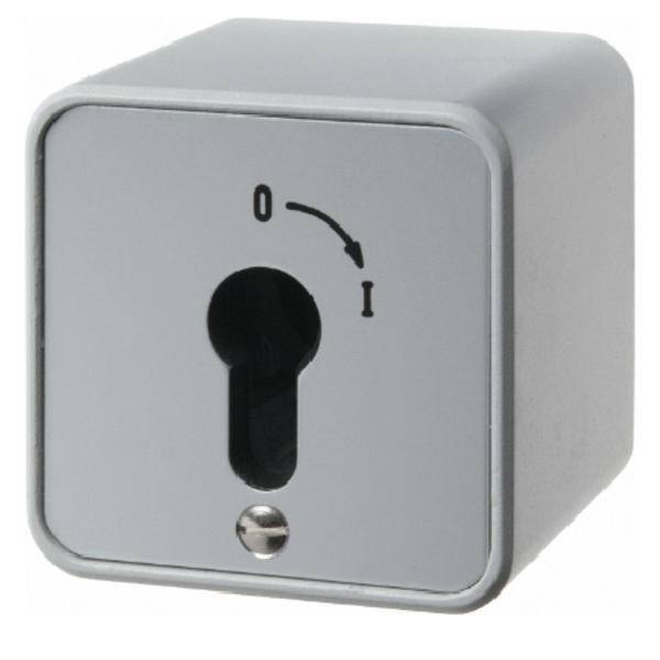 Berker Schlüsselschalter 2p. 4466