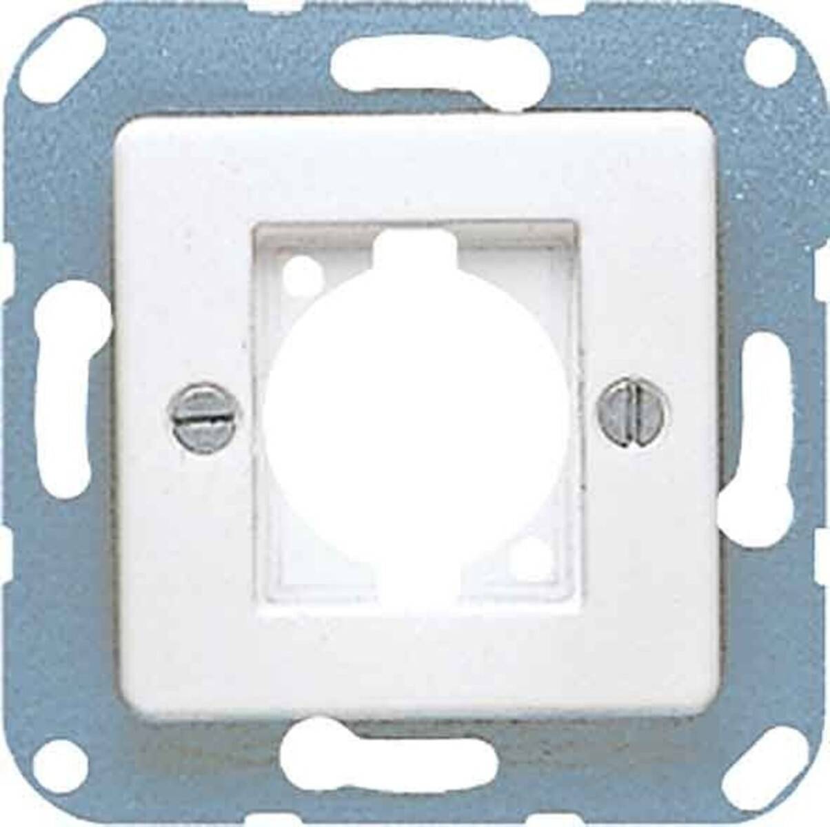 Jung Zentralplatte 168-1 WW