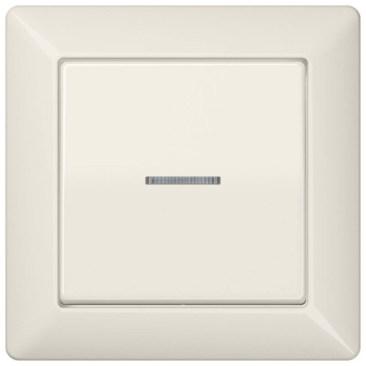 Jung Abdeckung Lichtleiter ws AS 590 KO5