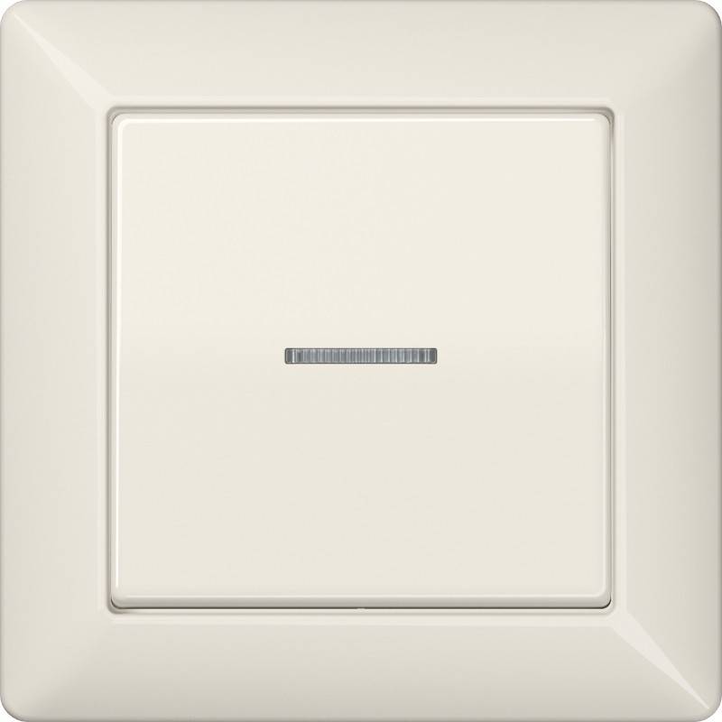 Jung Abdeckung Lichtleiter ws AS 590 KO5