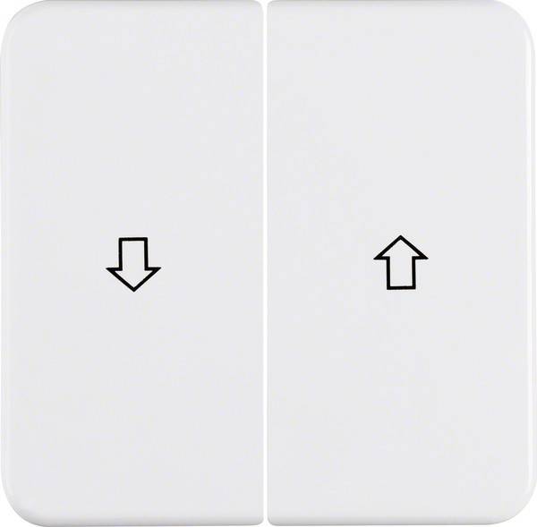 Berker Wippe pws 155229