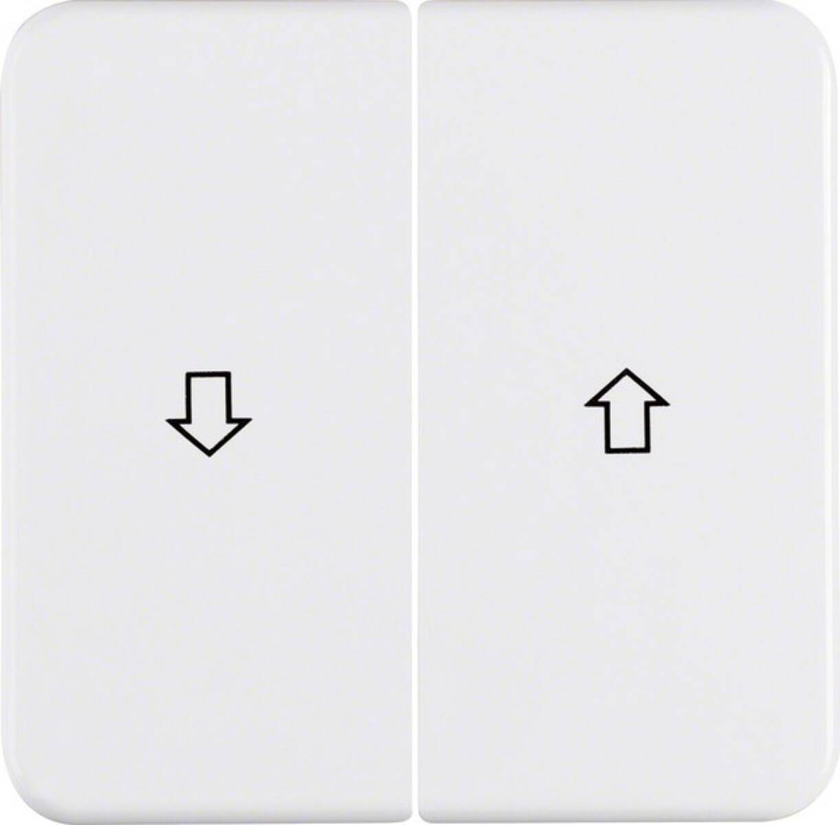 Berker Wippe pws 155229