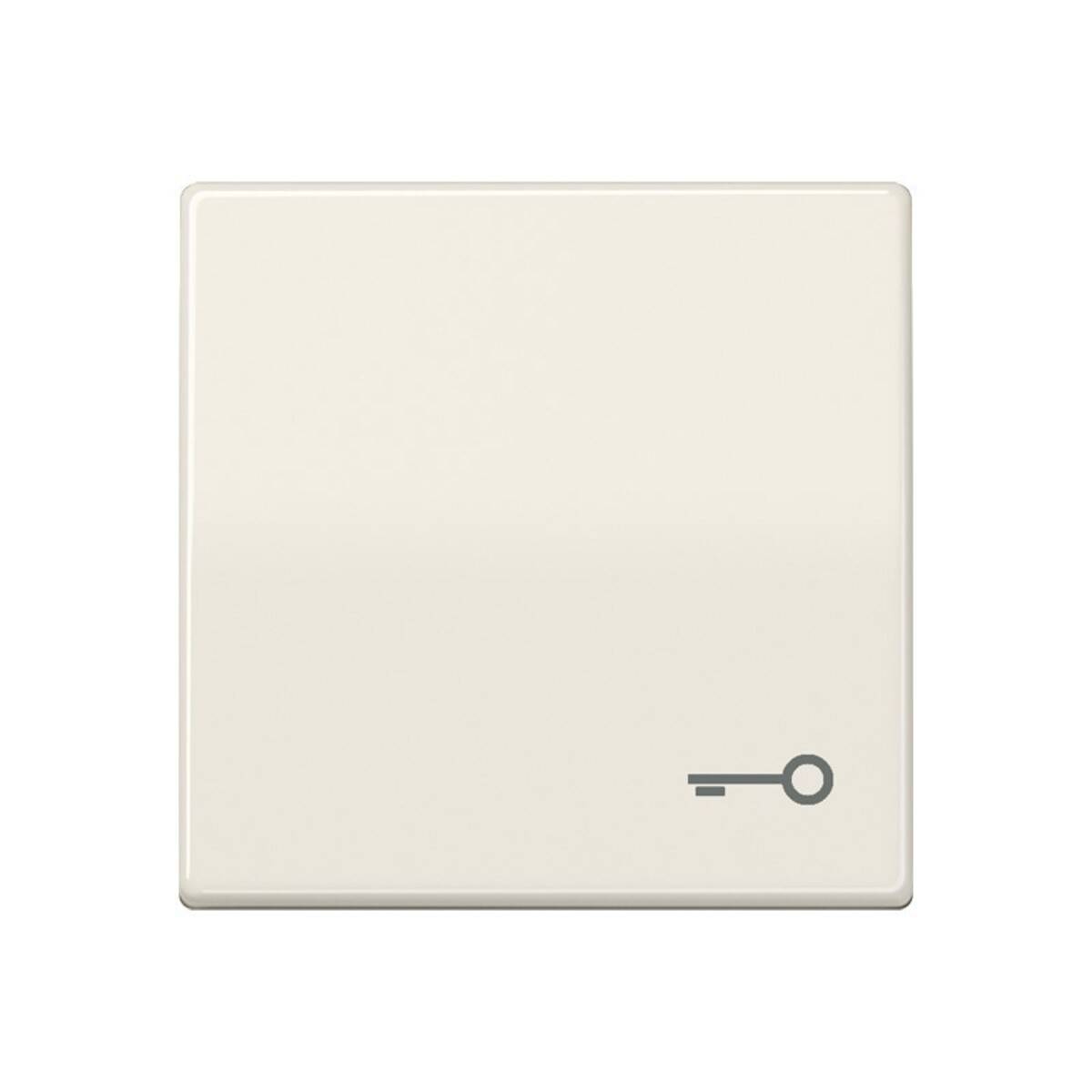 Jung Wippe Symbol TÜR ws AS 591 T