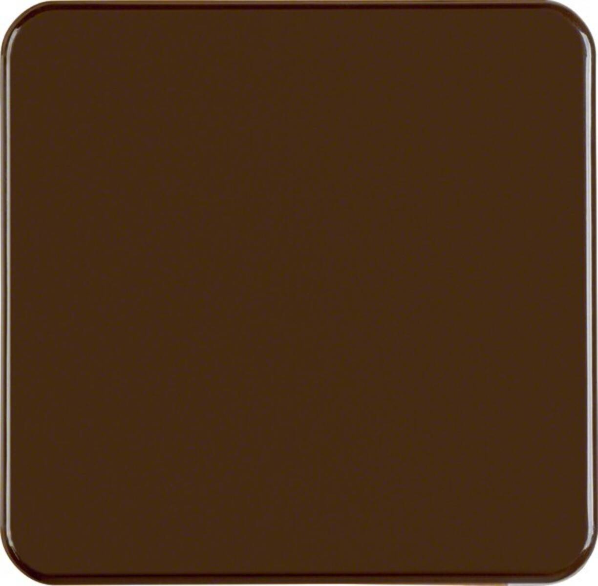 Berker Wippe br/gl 155001