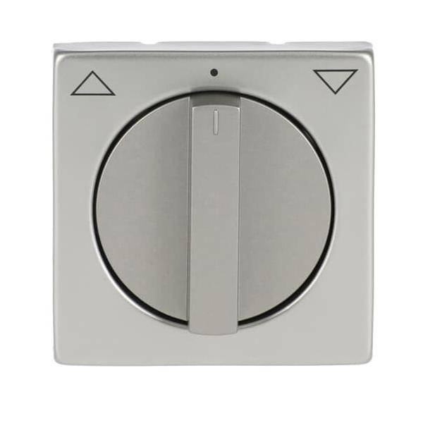 Busch-Jaeger Zentralscheibe Edelst. 1740-866