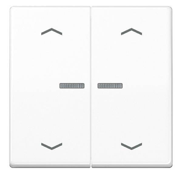 Jung Wippe Symbole/Lichtl.aws AS 591-5 KO5MP WW