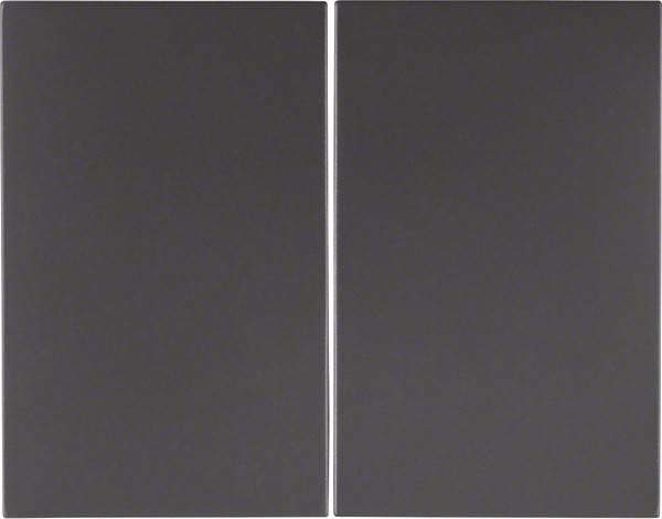 Berker Wippe K.1 14357006