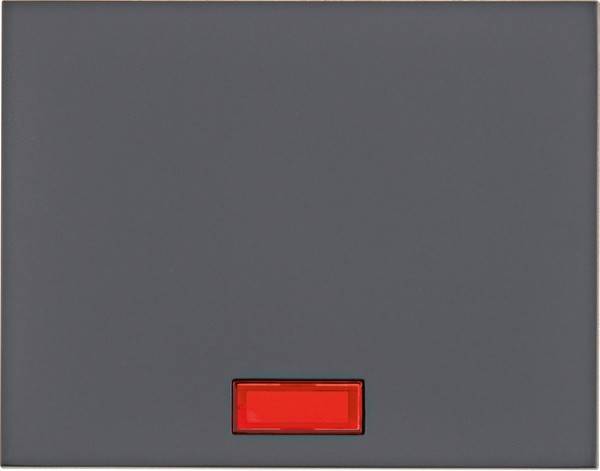 Berker Wippe 14157006