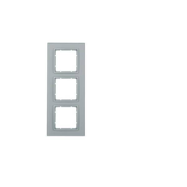 Berker Glasrahmen 10136414