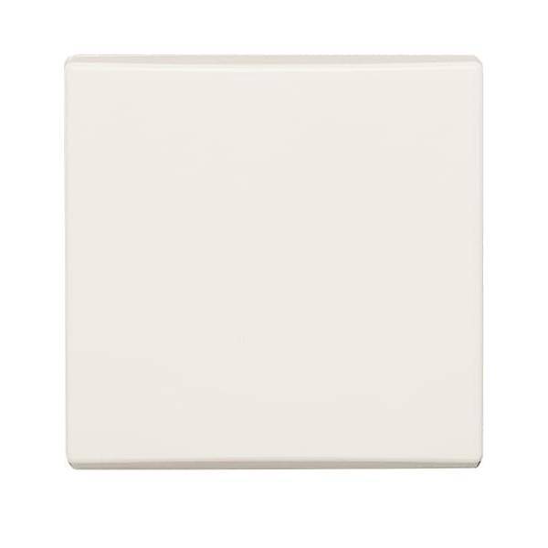 Busch-Jaeger Wippe cws 2106-32