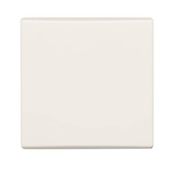 Busch-Jaeger Wippe cws 2106-32