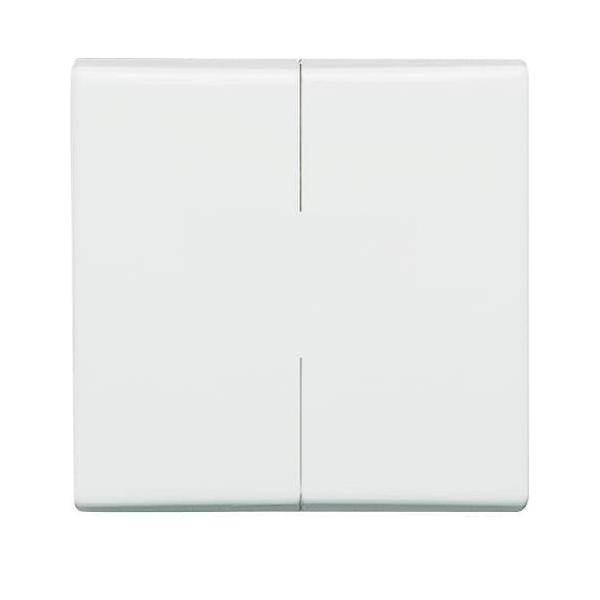 Busch-Jaeger Wippe aws 2105-34