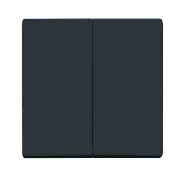 Busch-Jaeger Wippe anth 2105-35