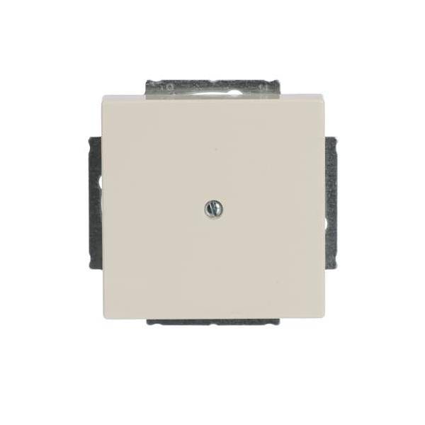 Busch-Jaeger Zentralscheibe sav/ews 1742-82