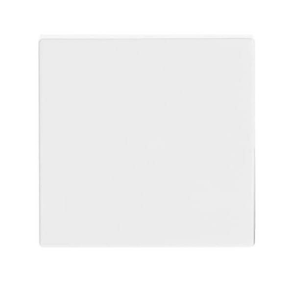 Busch-Jaeger Wippe dav/sws 1786-84