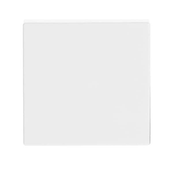 Busch-Jaeger Wippe dav/sws 1786-84