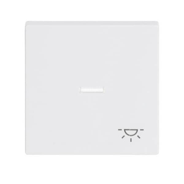 Busch-Jaeger Wippe dav/sws 1789 LI-84