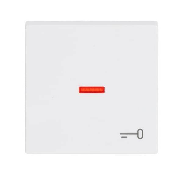 Busch-Jaeger Wippe dav/sws 1789 TR-84