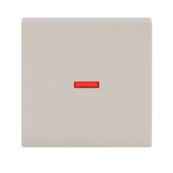 Busch-Jaeger Kontroll-Wippe sav/ews 1789-82