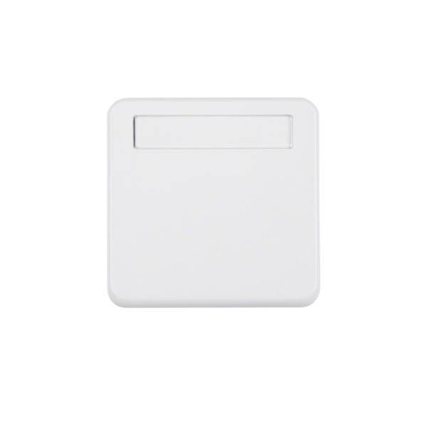 Berker Zwischenring pws 102259