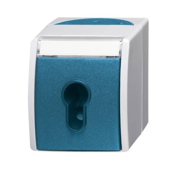 Busch-Jaeger Schlüsselschalter 2733 SLW-53