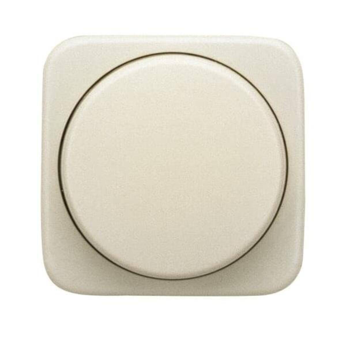 Busch-Jaeger Zentralscheibe ws 2115-212