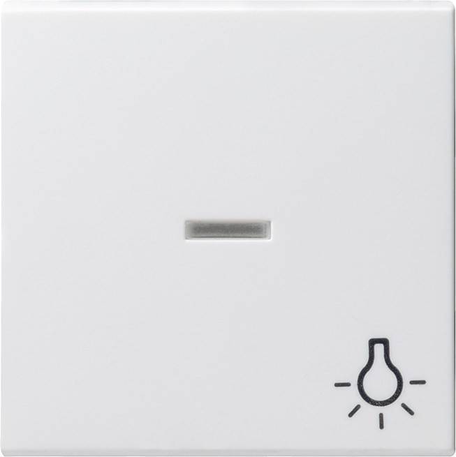 Gira Wippe Licht rws-gl 067403