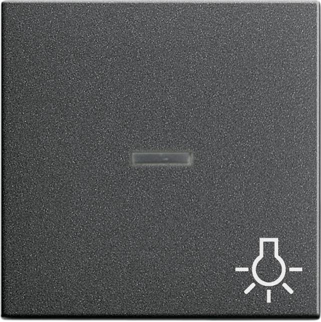 Gira Wippe Licht anth 067428