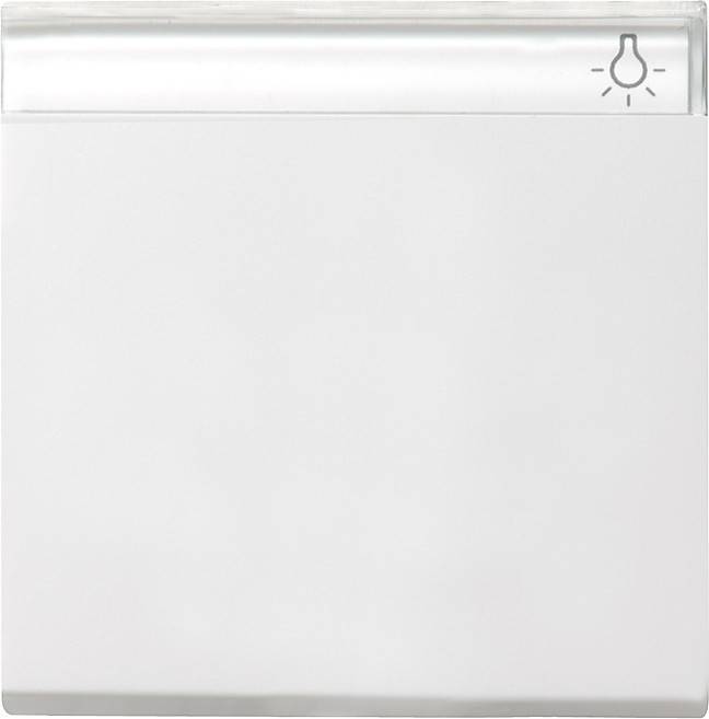 Gira Wippe Wechselsch. rws-gl 029903