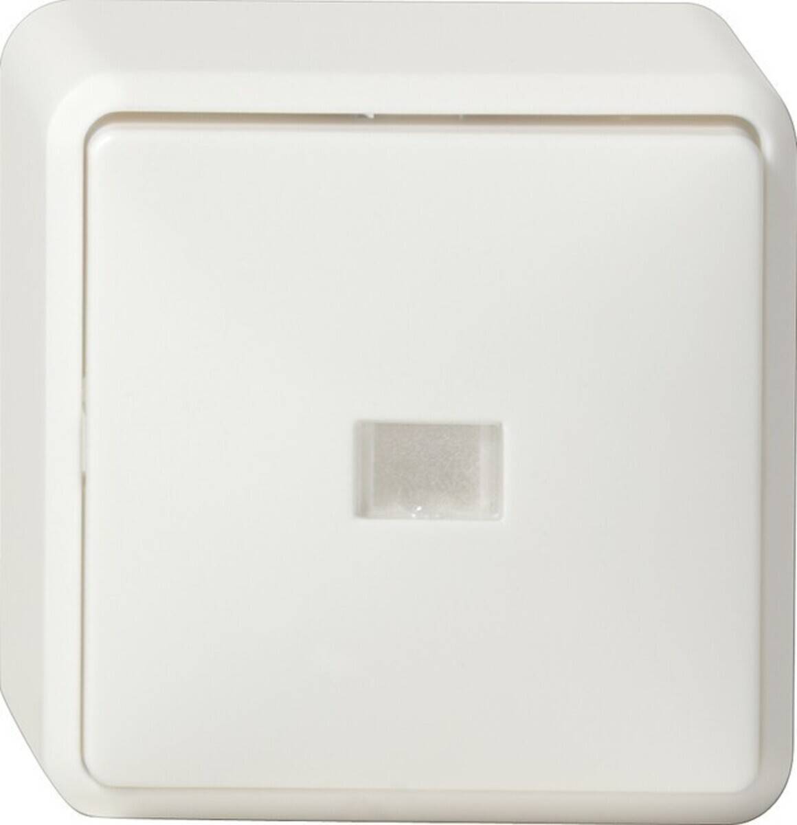 Gira Kontr.Wechselschalt. rws 011613