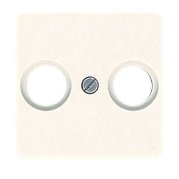 Eine beige Schalterabdeckung mit zwei kreisrunden Löchern und einer zentralen Schraube.