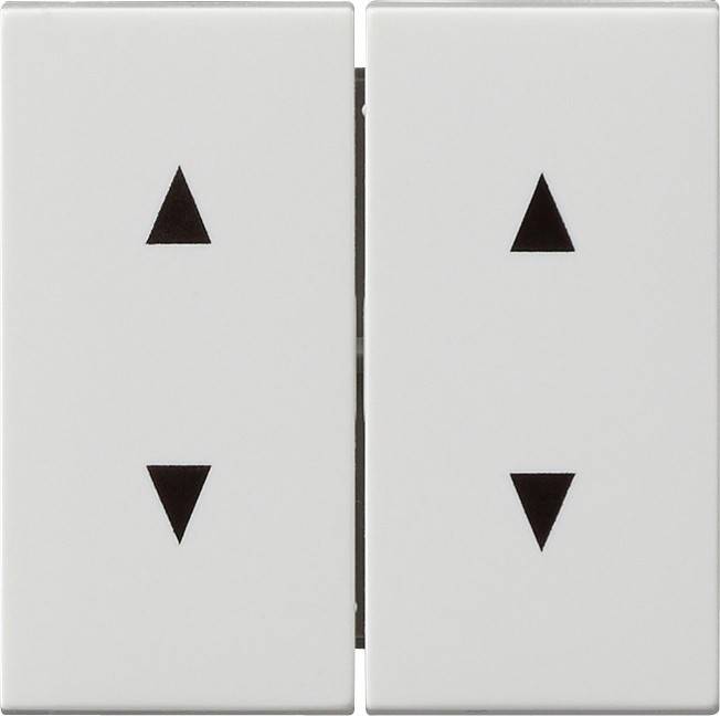 Gira Wippe rws-gl 115003