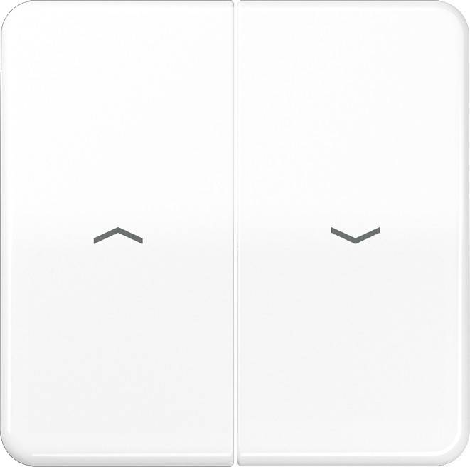 Jung Wippe Symbole aws CD 595 PBF WW