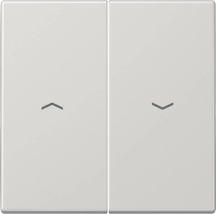 Jung Wippe Symbole lgr LS 995 P LG